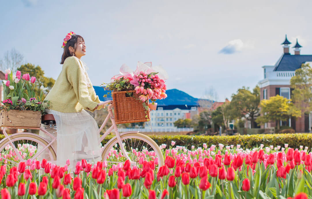 季節限定-夢幻絕美花海